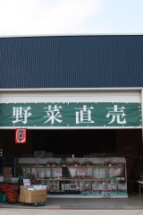 Farmers Market 菜花(さいか) Farmers Market 菜花(さいか)