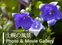 士幌写真 士幌写真