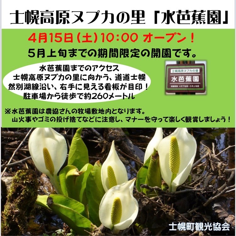 士幌高原ヌプカの里「水芭蕉園」開園のお知らせ | 十勝士幌町観光協会
