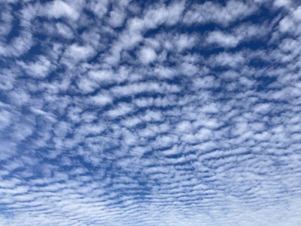しほろ写真館 十勝士幌町観光協会