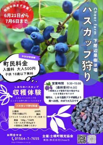 安心安全。ブルーベリー3キログラム 朝摘み取り午後発送 （冷凍
